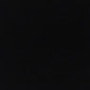 Meet your Posher, Bianca